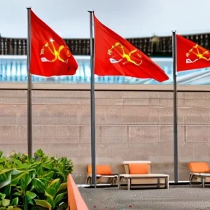 Как выбрать надежный сервис: критерии и красные флаги