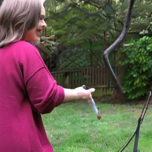 Правило 50/30/20: как адаптировать под реальную жизнь