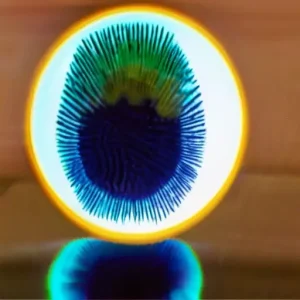 Биометрия: отпечаток, лицо, радужка — что надежнее