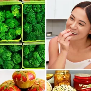 Продукты-основы: что держать дома, чтобы питаться проще