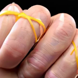 Скрипит на кочках: как отличить “резинки” от серьезной неисправности