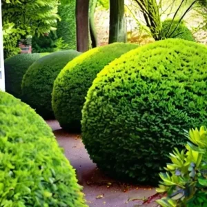 Сайлентблоки: почему мелочь влияет на комфорт и безопасность