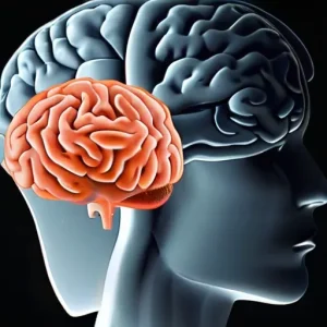 Почему иллюзии работают: как мозг экономит вычисления